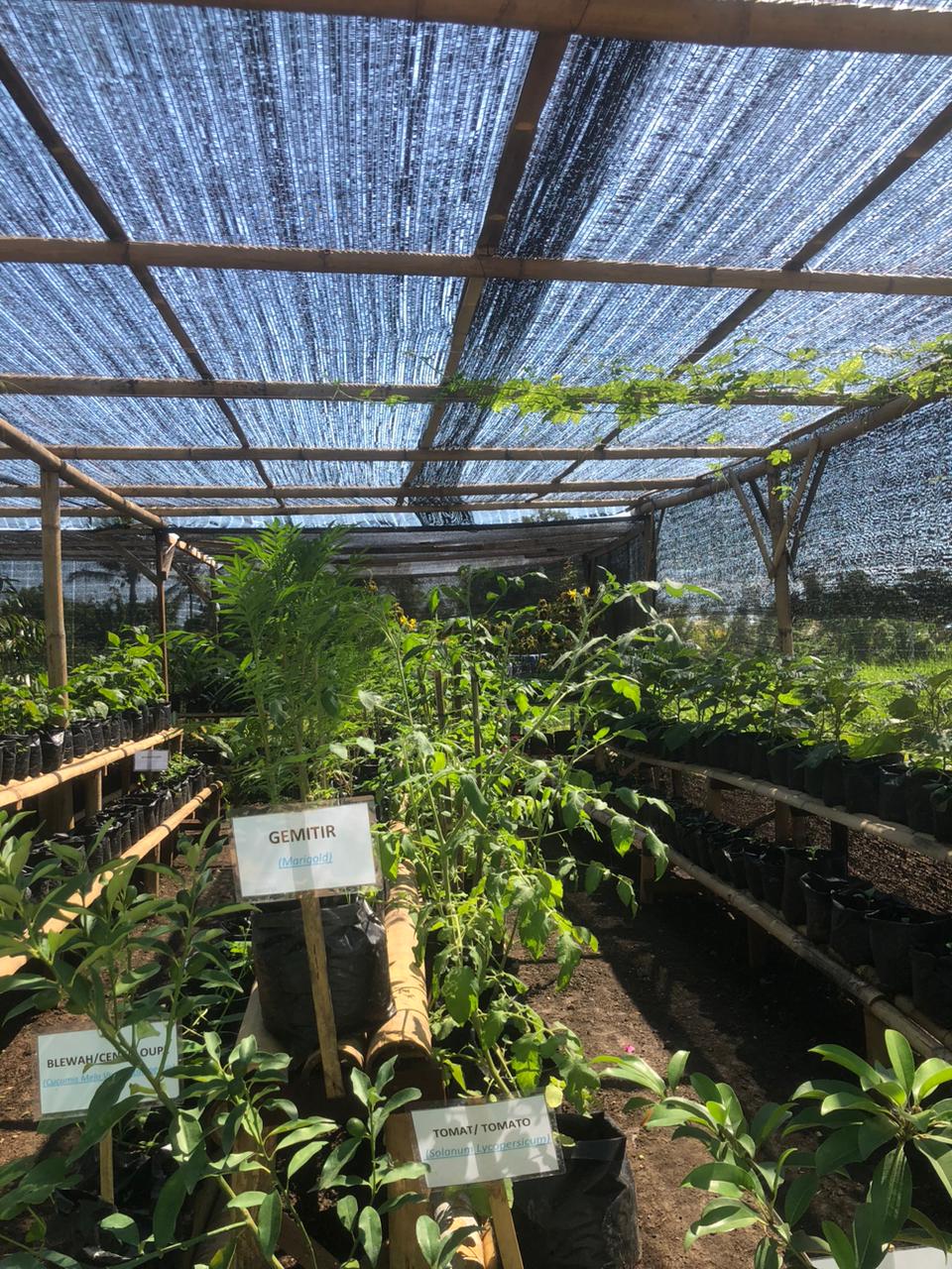 Bioplus | Organic Fertilizer